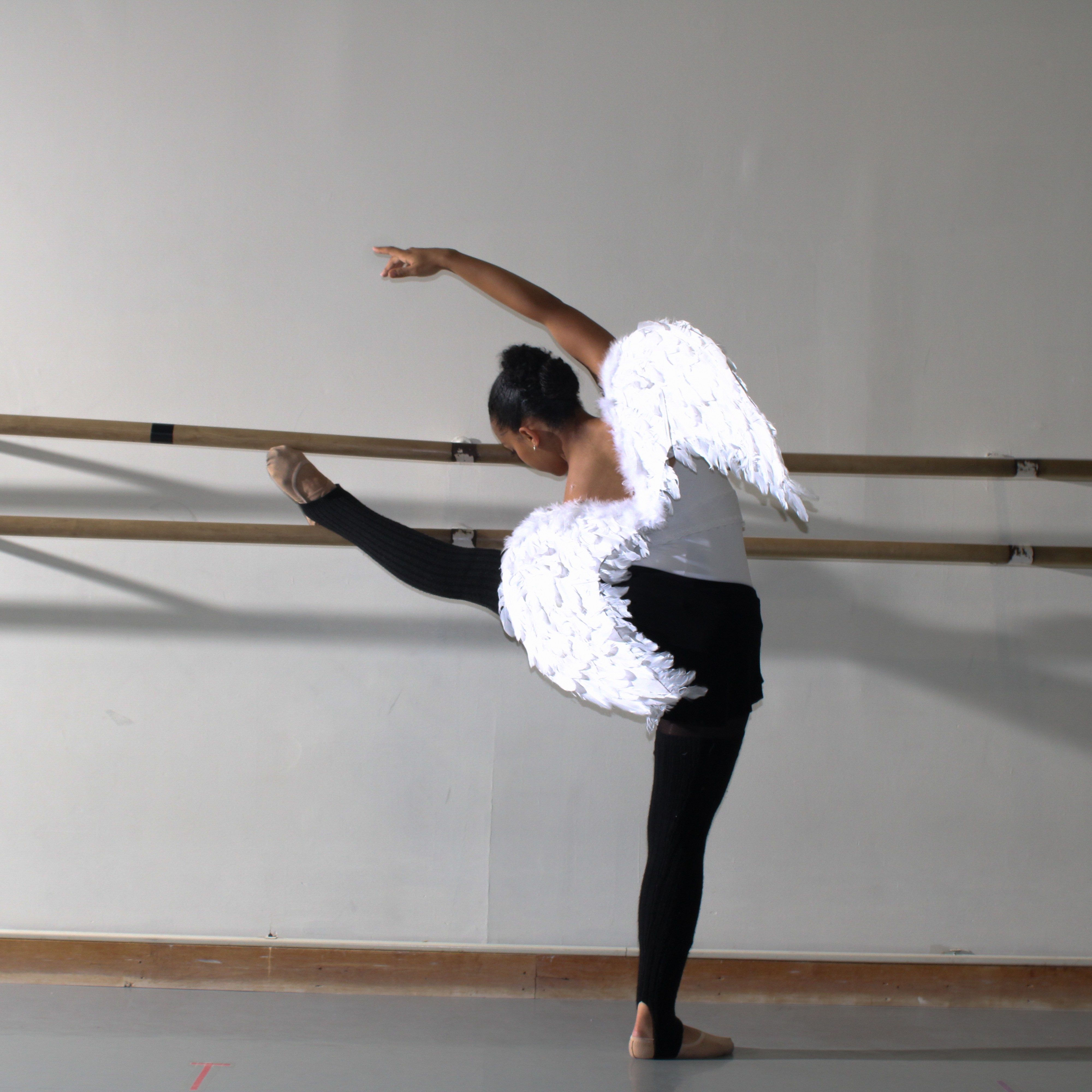 Swan Transformation